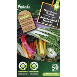 Semences de poirée Colorée Festival PROTECTA