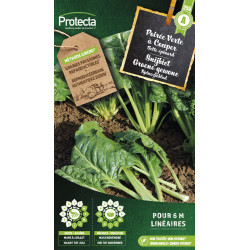 Semences de poirée Verte à couper PROTECTA