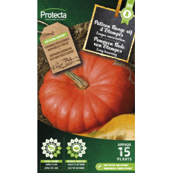 Semences de potiron Rouge vif d'Etampes PROTECTA