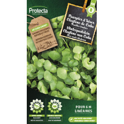 Semences de pourpier d'hiver Claytone de Cuba PROTECTA