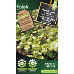 Semences de pourpier doré à salade PROTECTA