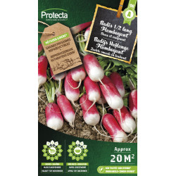 Semences de radis 1/2 long Flamboyant PROTECTA