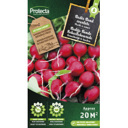 Semences de radis Rond écarlate PROTECTA