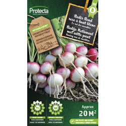 Semences de radis Rond rose à bout blanc PROTECTA
