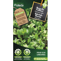 Semences de roquette Cultivée PROTECTA