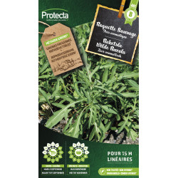 Semences de roquette Sauvage PROTECTA