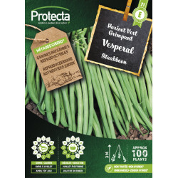 Semences d'haricot Vert Grimpant Vesperal PROTECTA
