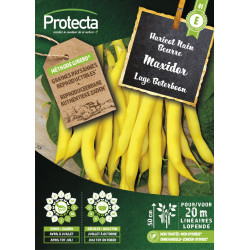 Semences d'haricot Nain Beurre Maxidor PROTECTA