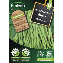 Semences d'haricot Vert Nain Argus PROTECTA