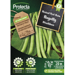 Semences d'haricot Vert Nain Rugally PROTECTA
