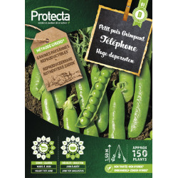 Semences de petit pois Grimpant Téléphone PROTECTA