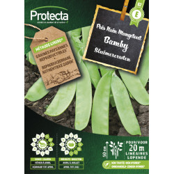Semences de pois Nain Mangetout Bamby PROTECTA
