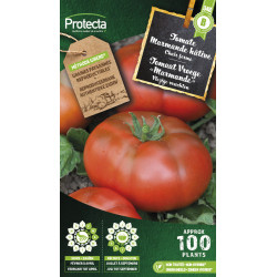 Semences de tomate Marmande hâtive PROTECTA