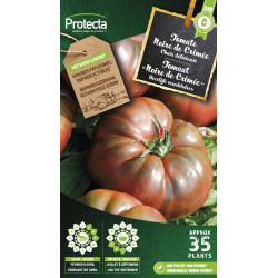 Semences de tomate Rio Grande PROTECTA