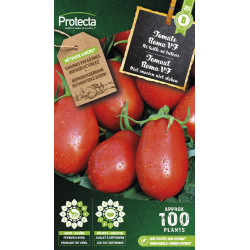 Semences de tomate Roma VF PROTECTA