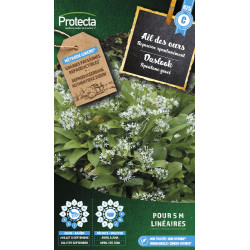 Semences d'ail des ours PROTECTA