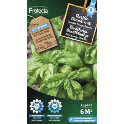 Semences de basilic Grand vert PROTECTA