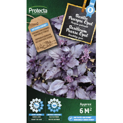 Semences de basilic Pourpre Opal PROTECTA
