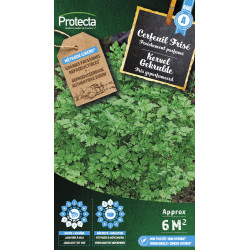 Semences de cerfeuil Frisé PROTECTA