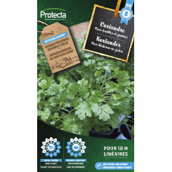 Semences de coriandre PROTECTA