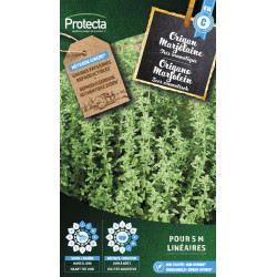 Semences d'origan Marjolaine PROTECTA