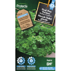 Semences de persil Frisé Vert foncé PROTECTA