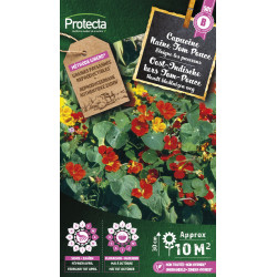 Semences de capucine Naine Tom Pouce PROTECTA