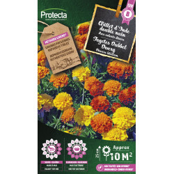 Semences d'oeillet d'Inde double nain PROTECTA