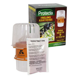 Piège Sélectif Frelons Asiatiques – Biodiversité Préservée | PROTECTA