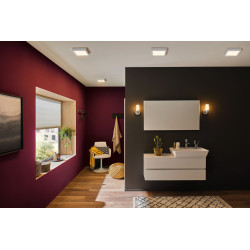 Panneau LED Lunar blanc neutre 17 x 17 cm 1300lm 11 W PAULMANN