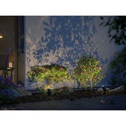 Spot LED Extérieur Pike – Éclairage Jardin IP65 | PAULMANN