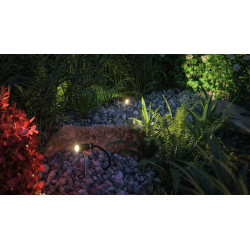Spot LED Extérieur Plantini – Éclairage Jardin | PAULMANN