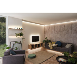 Ruban LED MaxLed 250 blanc chaud 900 lm 3 m 12 W PAULMANN