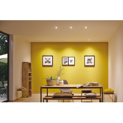 Spot encastrable LED Nova acier brossé blanc chaud IP44 6 W PAULMANN