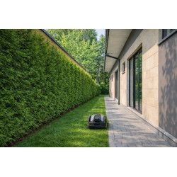 Tondeuse Robot AI Mowbot 10 – Tonte Précise RTK | GREENWORKS