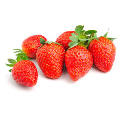 Fraisier Nova Gento en Pot – Fraises Gourmandes