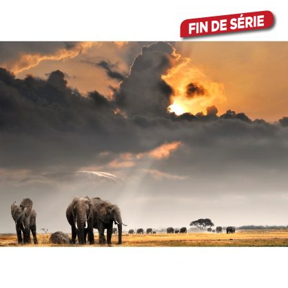 Toile Sunrise with Elephants 97 x 65 cm