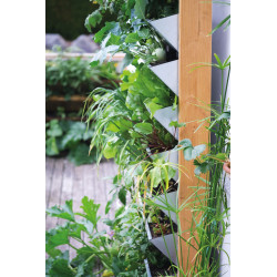 Potager vertical 100 x 50 x 180 cm BELLISSA