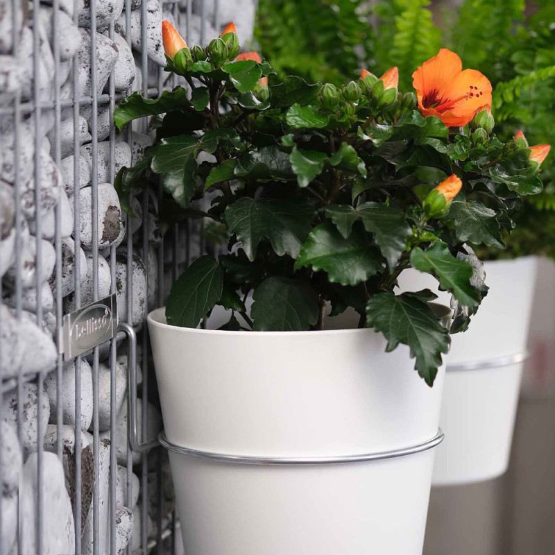 Système de suspension murale Fermo Garden Ø 17 cm BELLISSA