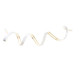 Ruban LED blanc chaud 9 W 2 m PROLIGHT