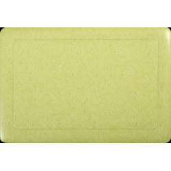Set de table Emily vert 30 x 43 cm JOY