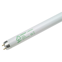 Tube LED fluorescent Lumilux T8 G13 blanc froid 3350 lm 36 W OSRAM