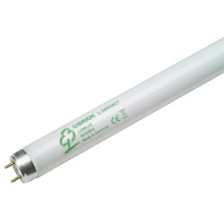 Tube LED fluorescent Lumilux T8 G13 blanc chaud 3350 lm 36 W OSRAM