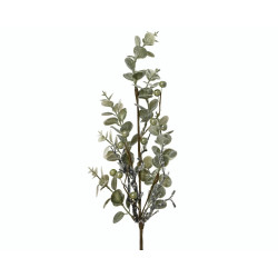 Branche d'eucalypsus givrée baies blanches 55 cm