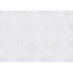 Feuille imitation neige 29