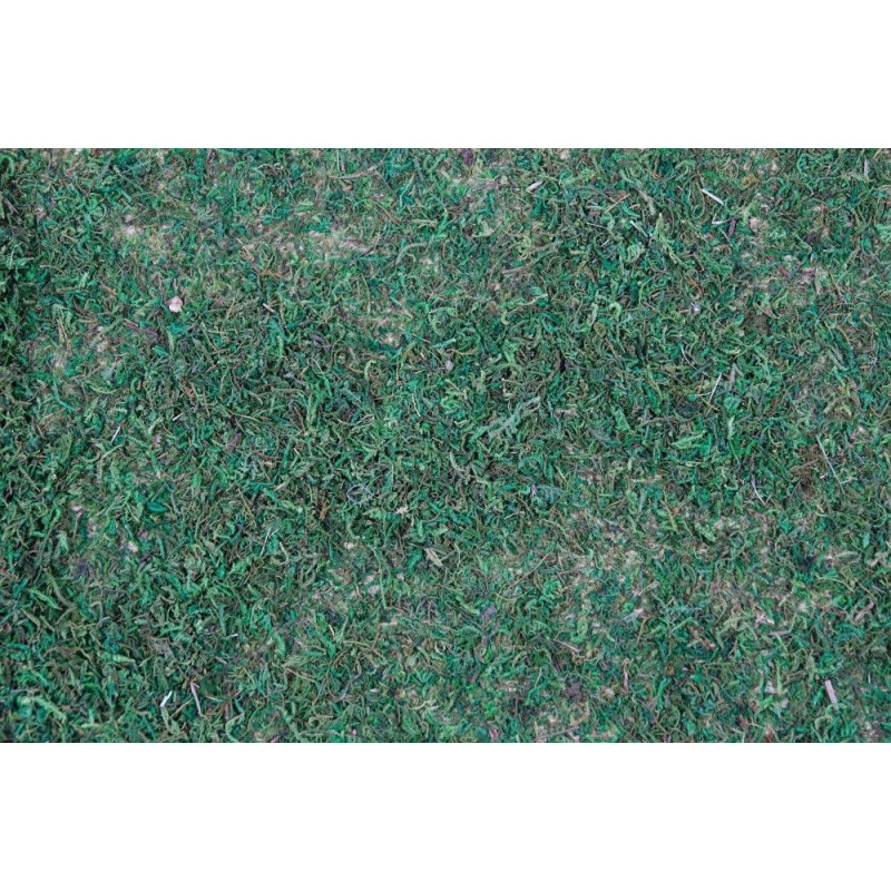 Tapis de mousse verte – Village de Noël réaliste