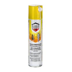 Aérosol anti-fourmis – Protection longue durée