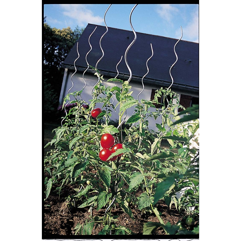 Tuteur Spirale Tomates 180cm – Support Robuste | NORTENE