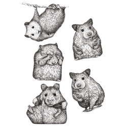 Planche de stickers Hamsters 21