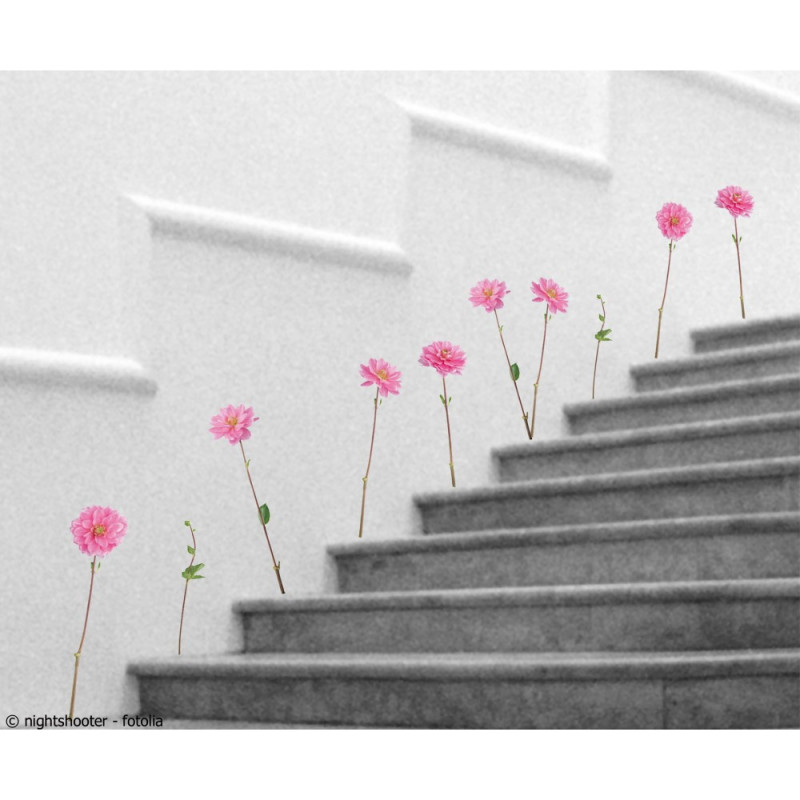 Planche de stickers Pivoines 30 x 21 cm 2 pièces
